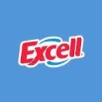 ExcellChile's profile picture. 