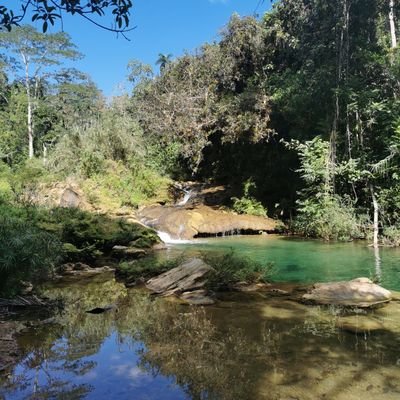 samiesamiraa's profile picture. 