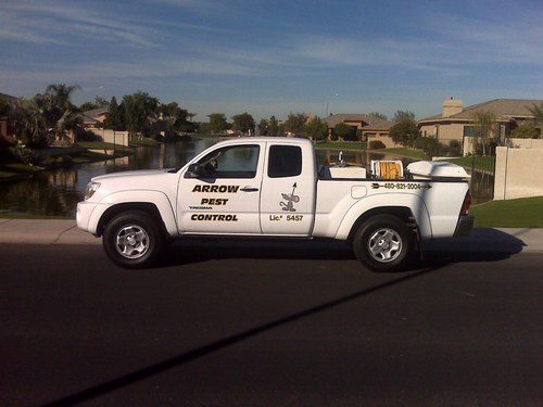 pest control, birds, bees, rats, bed bugs, scorpions