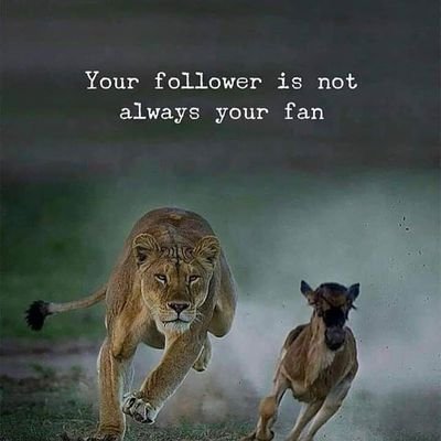 Barnapo207Paul's profile picture. Agrobusiness