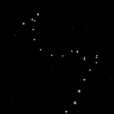 selfzonee's profile picture.