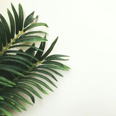 wow_hangmarie's profile picture. 