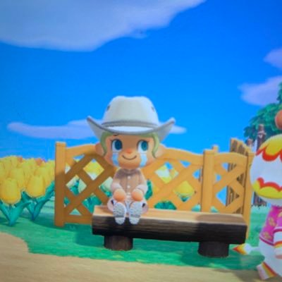 My animal crossings account! #ACNH 🧽 Washyland 🧼