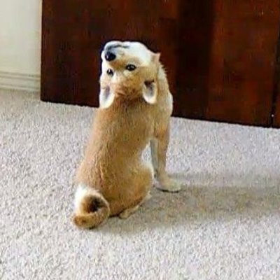 jordzo99's profile picture. 