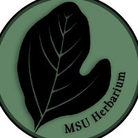 MSU Herbarium(@MSU_Herbarium) 's Twitter Profile Photo