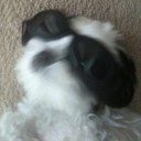 Darin Chong - @darinchong - Twitter