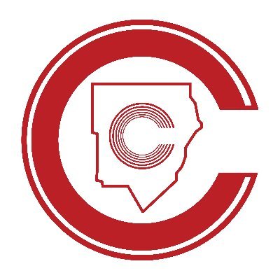 Cobb County School Psychologists Profile