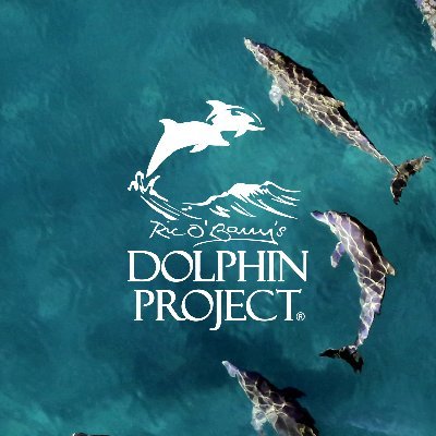 1970年に創設されてから今に至た国際的な団体 @dolphin_project の日本語チーム 🌎🐬 イルカの追い込み漁の、水族館のイルカがどんな生活をしてるのかと水族館から救助されたイルカのケースの紹介しています。
#ドルフィンプロジェクト #DolphinProject  #一緒にイルカを守ろう