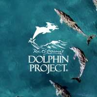 ドルフィン・プロジェクト 🐬 イルカを守ろう (@iruka_project) 's Twitter Profile