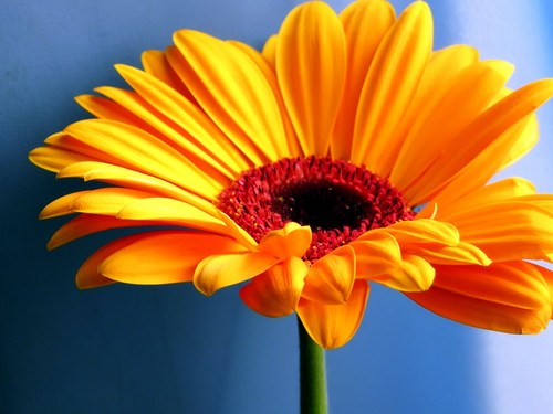Connect, stretch & grow on your faith journey w/Christ; Small groups; Fun Events; Lasting friendships. Loving God... Loving Women... Loving Well