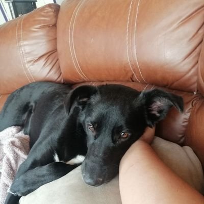 EfrenZaldivar's profile picture. 