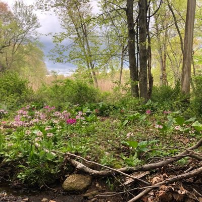 Recovering2000's profile picture. this is my anonymous avatar for recovery tweets. drug addict. sex addict. he/him. 5/28/00 (drugs)