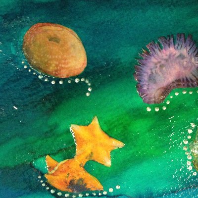 woocca's profile picture. 