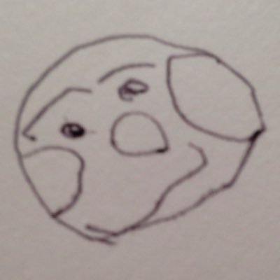 iyamaita's profile picture. AI副業中🧠 TikT0k新規垢で40万再生。垢はnoteにて公開してます📝