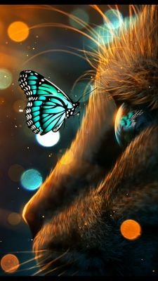 Mark_Anthony242's profile picture. Développeur Frontend | HTML CSS | JavaScript