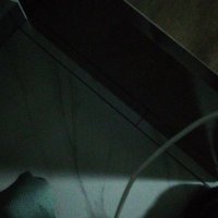 Zonguldak Köylü Çift (@zonguldakkoylu) Twitter profile photo