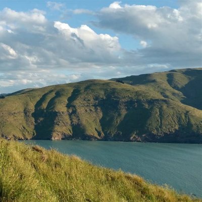 AshesInVic's profile picture. Enjoying life at the bottom of the world.