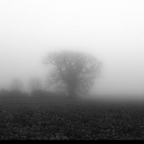 LincolnJon's profile picture. Cheese fanatic, Fellow of Academy of Cheese, Veterinarian