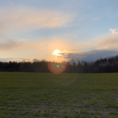 MrsLt24's profile picture. 