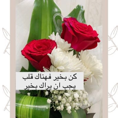 go220g1's profile picture. تأمل قوله تعالى ﴿فَنَادَى فِي الظُّلمَاتِ..﴾ حتى في بطن الحوت كان هناك أمل ونحن نفقد الأمل في أبسط الأمور علق قلبك بالله ولن تخيب بإذن الله