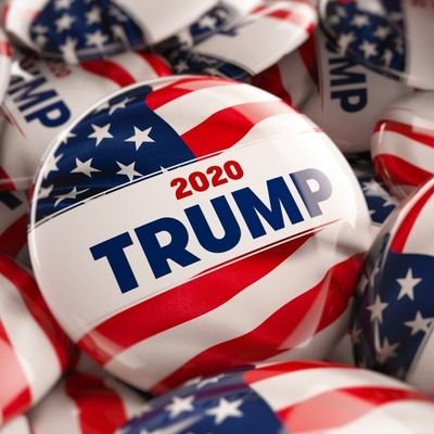 #MAGA Text Trump to 88022 Download TRUMP 2020 App Profile