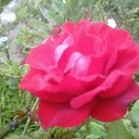 Cora Ramirez - @CMRCG - Twitter