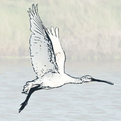 'eilandfotografe' op Texel. Landschap/natuurfoto's