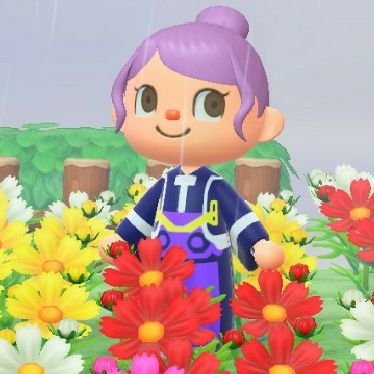 shihoさんのプロフィール画像