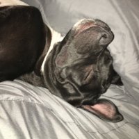 Jayla🌈 (@thegaygarbage) 's Twitter Profile