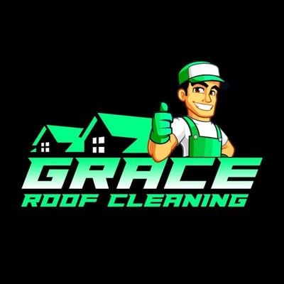 Premium roof cleaning service, Low cost work great quality.