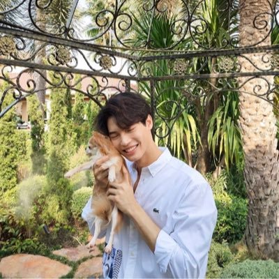 Yanmeng (@Yanmeng58469386) / Twitter