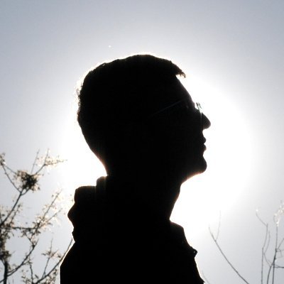 🍎 Developer at Kagi (Orion Browser). Previously did 🍎 stuff at @PreternaturalAI, @PSPDFKit and @DJIGlobal. he/him
