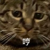米朱弗玄さんのプロフィール画像