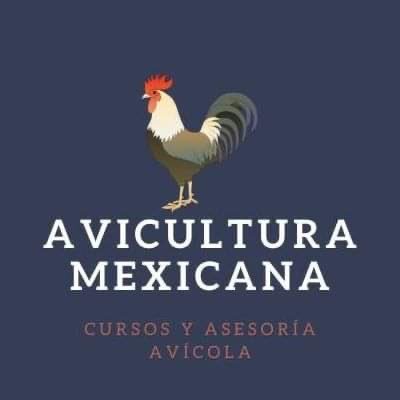Avicultura mexicana es una iniciativa por médicos veterinarios zootecnistas para ofrecer la guía definitiva, con cursos y asesorías gratuitas.