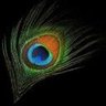 VishakhaAbhyan3's profile picture. sanatan sanstha