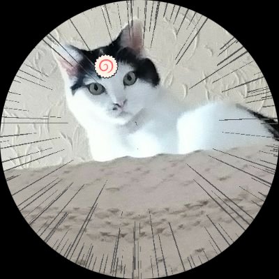 narutocat01 Profile Picture