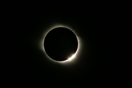 Sarah Marwick Profile