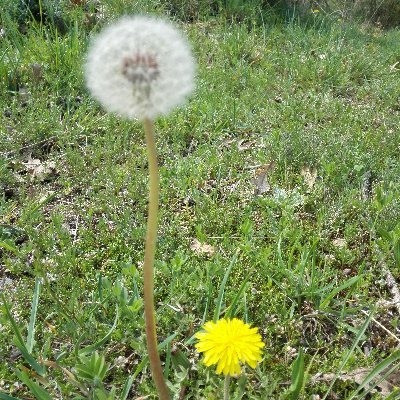 Mar77202182's profile picture. 