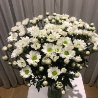 sevim yönet (@yonet_sigorta) 's Twitter Profile Photo