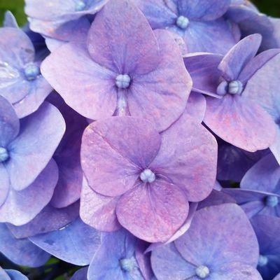 pTMpK86AXibSPHb's profile picture. 自分の為だけのRTふぁぼ専用アカウント
サブマスさんイラスト専門