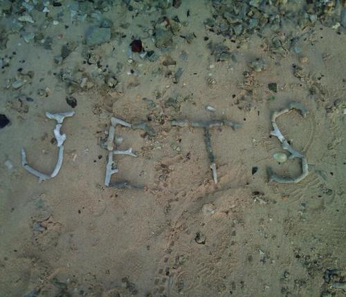 katsuya37okada's profile picture. 