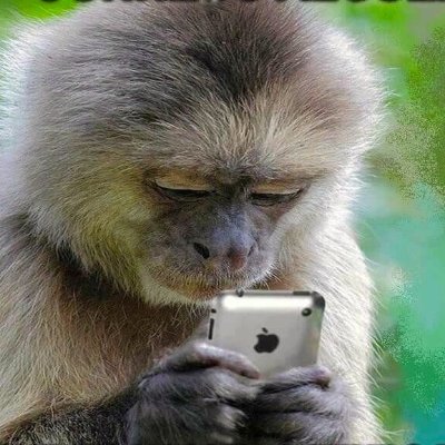 ApanTrading's profile picture. Trading. Apa. Bor i djungeln (Malta)