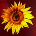LaCafetiere@Leeds (@lcafetiere) Twitter profile photo LaCafetiere@Leeds (@lcafetiere) Twitter profile photo