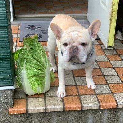 Sotaro56227464's profile picture. For gathering information 🤔