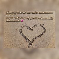 Ziraat Mühendisi (@feruzeertemm) 's Twitter Profile Photo