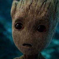 0xgr00t (@groot0x12) 's Twitter Profile