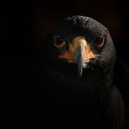 38884Marine1's profile picture. I.C. ; Taurus; Ten of Coins; https://t.co/erXsBgrEJY#659023699;  Veridical; Nabob; Politarch; Top1UnderNone.; U.N.W.I. £5billion; Royal Ace of Spades; Dolo&1; 004Hor$eman;