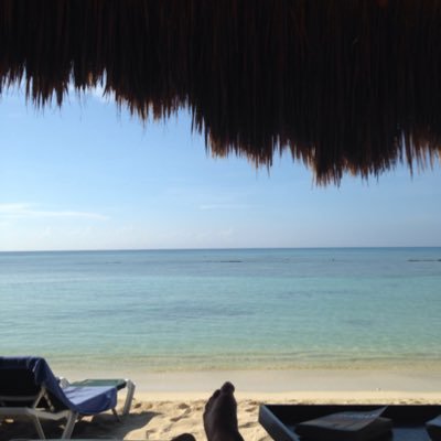 rikkijh's profile picture. life’s a verb