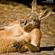 VerrireLaetiti1's profile picture. 