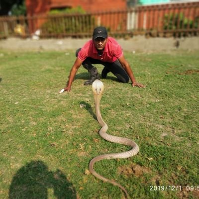 NirmalK12041887's profile picture. I am a snake saver in Munger district Bihar.